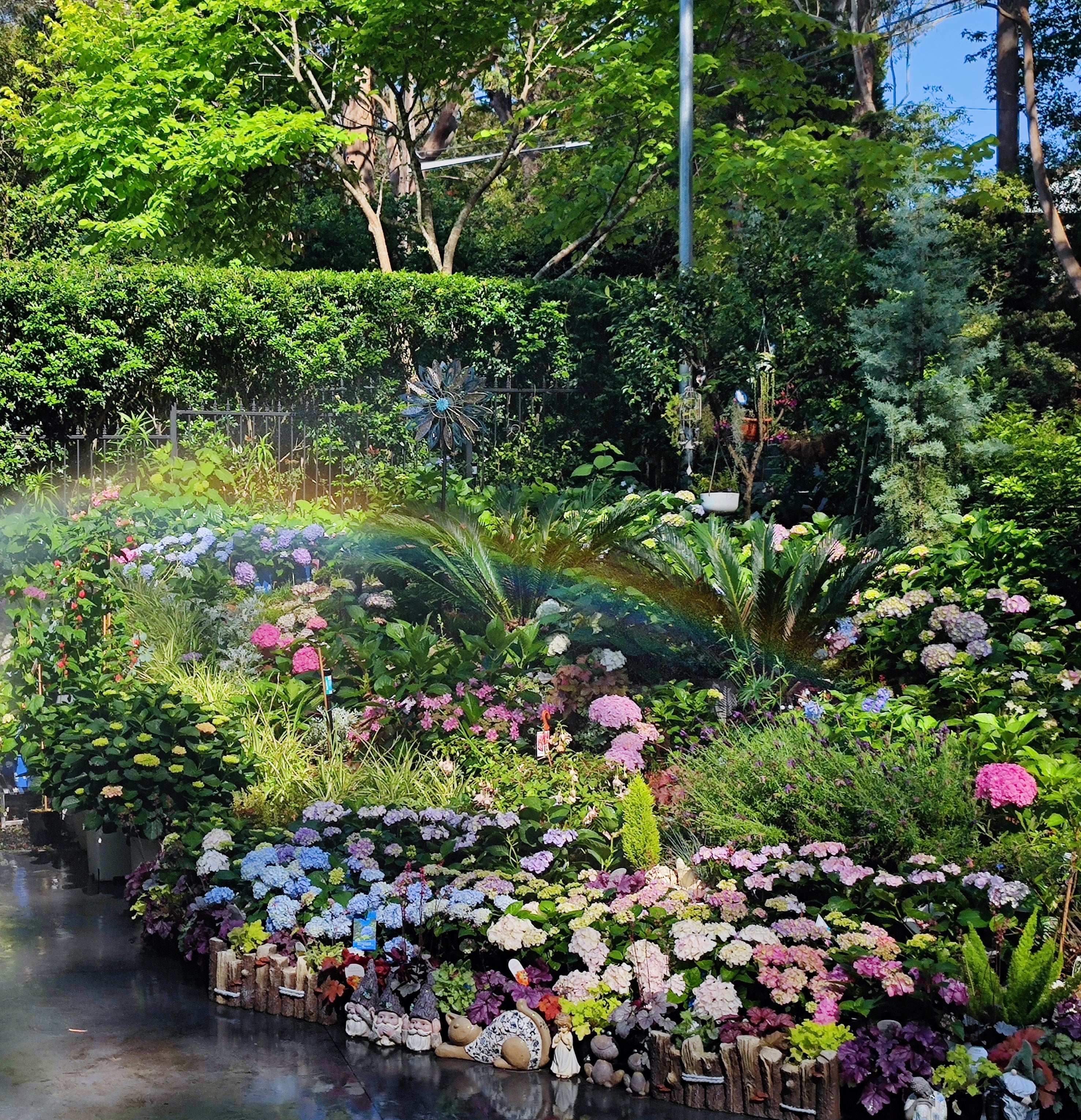 About us – Summer Garden