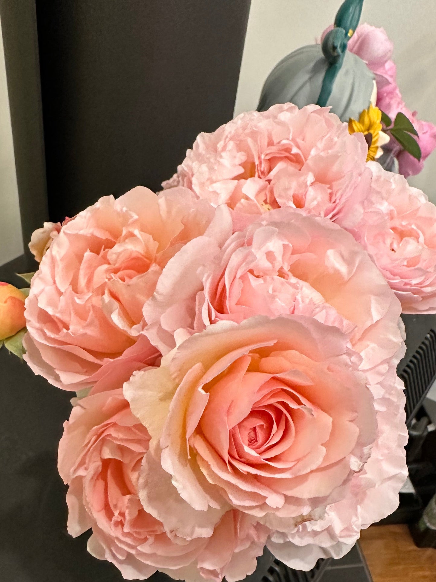 Rose Princesse Charlene de Monaco - Bare Root
